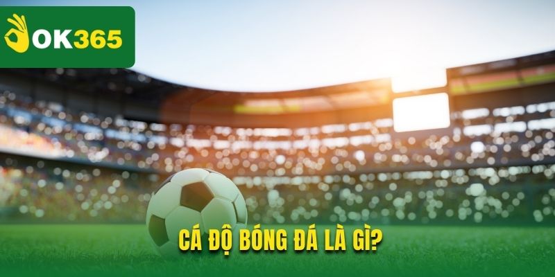 Sơ lược về cá cược bóng đá