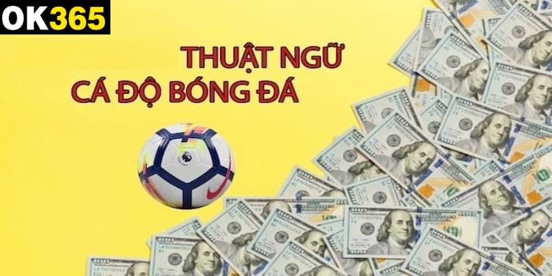 Các thuật ngữ cá độ bóng đá về kèo nhà cái