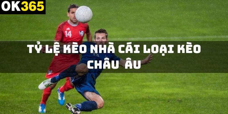 Những thông tin mới nhất về tỷ lệ kèo châu Âu ok365