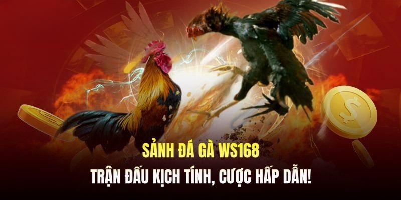 WS168 khẳng định vị thế với hàng loạt ưu điểm nổi trội